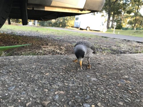 b61ad5e6-688a-406d-9063-e5f2cf92ef4c