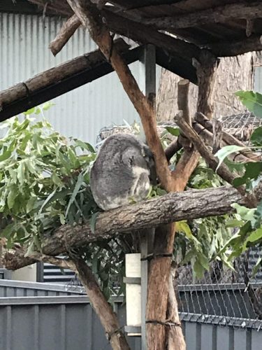 b709965c-d28b-41ef-b226-7d01ae15850b