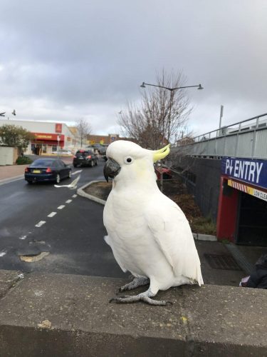 b80e48f4-270a-4e8e-b99c-d67cf4c3204e