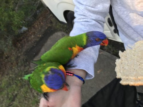 b9508a3f-f3ff-46fa-b599-2c8842ecb3c9