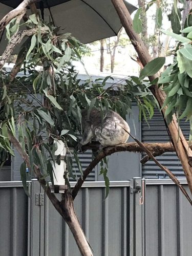 b96323ef-7637-4b6b-949c-61c6f98a5cd7