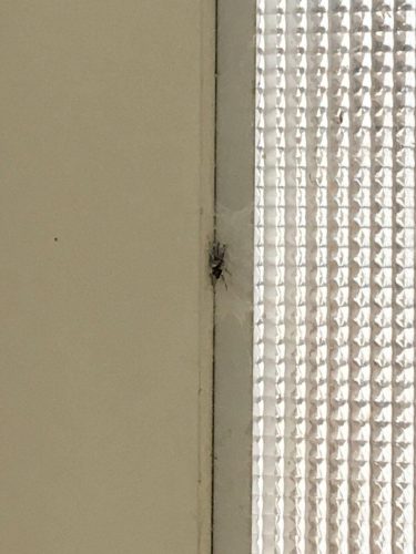 bbd71383-278e-4e6b-9e48-1e045a3c0806