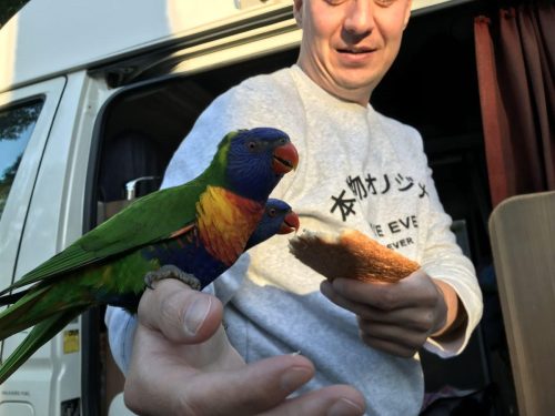 bd2bc06a-5f8c-49d9-9fbc-5fb1d9348248