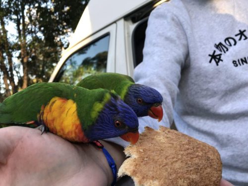 c4807163-752b-4bd0-a464-0e5f6c6cdd98