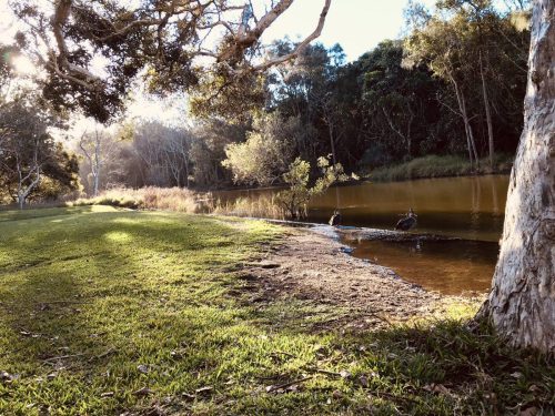 c658ab2b-de93-4e5a-a582-bf757c4a90e7