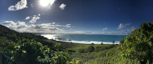 c872e786-78c1-483a-81c8-c0621f044a71