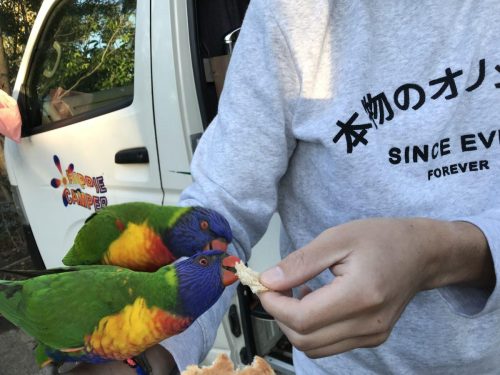 ca37fe31-a3b0-4140-a67d-8378b7b1ac24