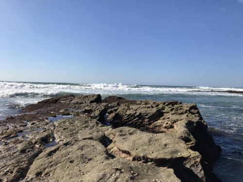 cb217fb0-25ee-4dcd-9f58-2491f389f1bf