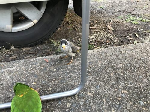 cba514aa-e745-4770-9c14-045cf5b7b385