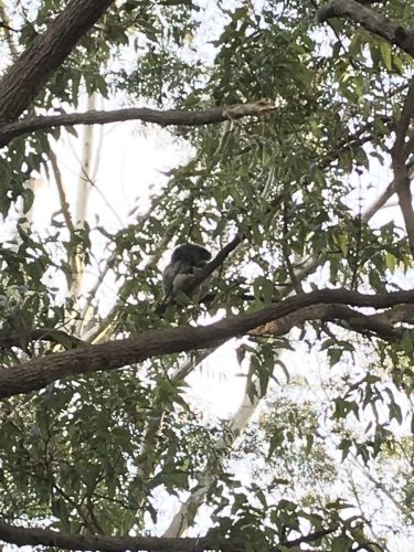 cc00a2ea-de0d-45bf-8942-f85d99e87ac1