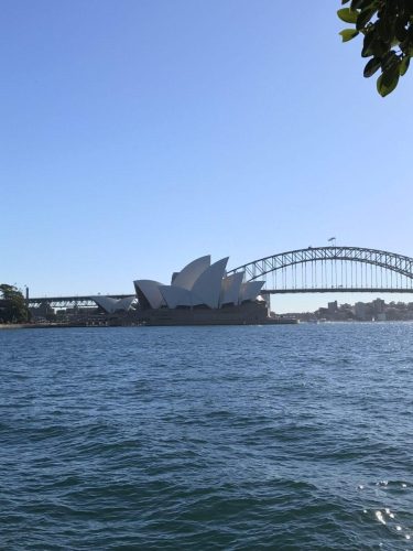 cc2a5c5e-14af-4dca-9871-c0afdd2ed408