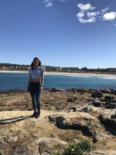 d01d4753-532a-4c66-95af-9b1b55a76172