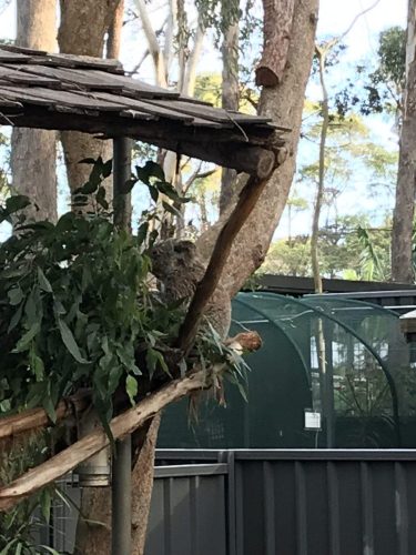 d1400b07-af0e-4aef-8537-7a044f4ed8f2