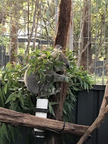 d1a82de9-2a17-401a-9184-9ee77d42c98a