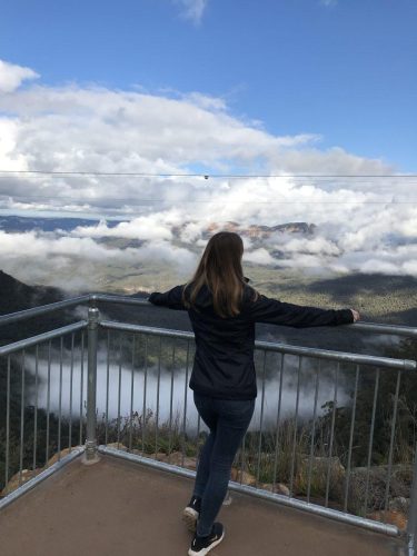 d3cdbcb8-c373-4807-b7d0-5fa9a79c1f48