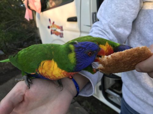 d4ef2d98-b4a3-48cb-926b-b2e9311b6355