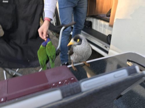 d8f658f0-aad2-4771-86f3-af1122255134