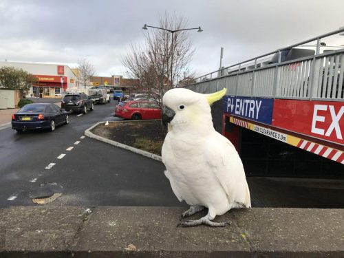 dafdc3b7-ea91-447c-bf70-665e0adbff71