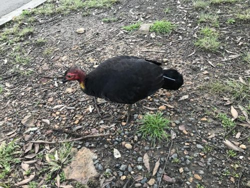 dbb9fd90-f80b-4852-a624-a91ae6939530