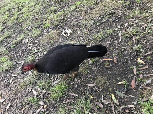 dd61586b-16e7-4ec8-80f4-1ec221b63805