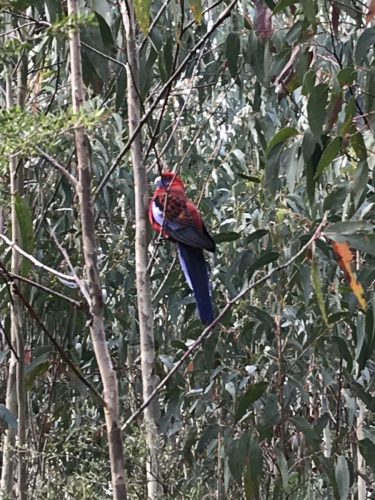 df6ecf0e-126f-48eb-bdf4-6c61b3ec44e3