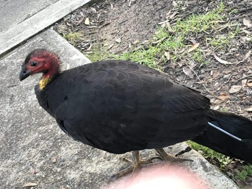 e4241ba3-2410-4a0d-9f11-f0691ab66222