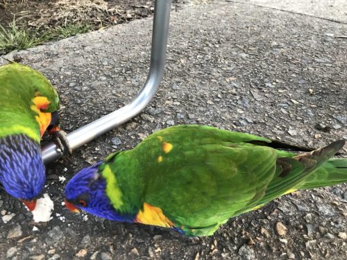 e84f768c-e75f-4f34-9a0c-2c91fe25cdc8