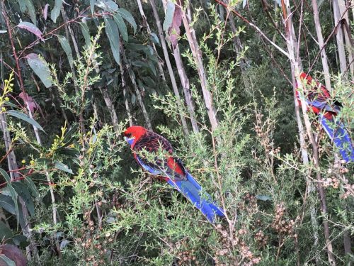 e9dd7d33-00a1-410a-b43d-602a39c185fb