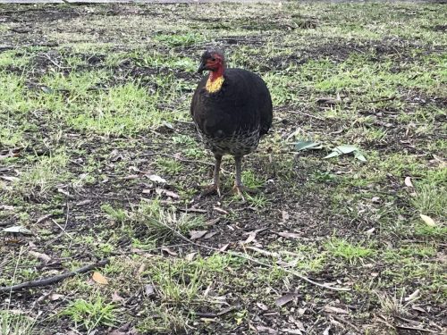 ea772561-3e0a-48d0-9559-f627a64d54d1