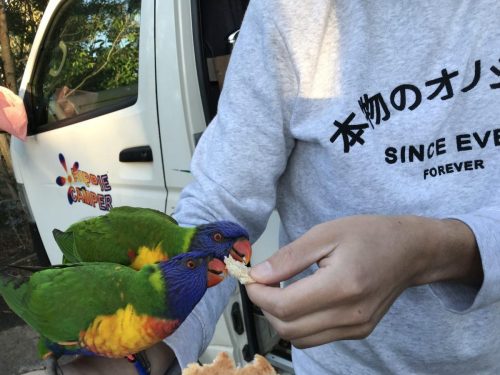 ec59e3a2-0c37-4244-9e04-fed4f1a28bc3