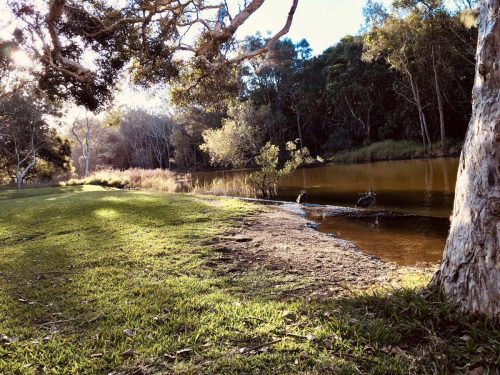 ed754ad0-8a52-461b-bea8-98834f099f6b