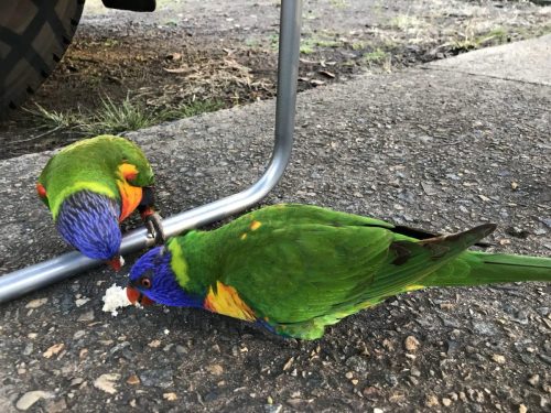 eecf64a4-0e76-49b2-8d58-29364bdef9d2