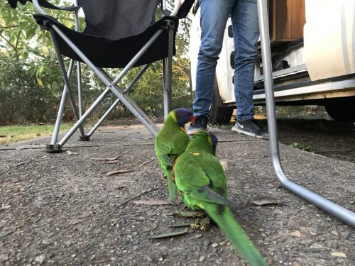 ef3282fb-a924-4c6c-a9a1-364b70a260af