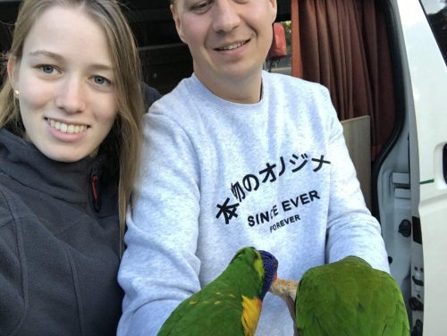 f0706ebf-5c0b-44ad-bf11-cf1e3d32fadd