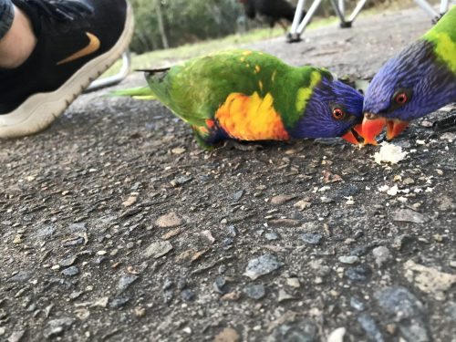 f2b57db6-35f1-4915-9a89-41d0c5feba5e