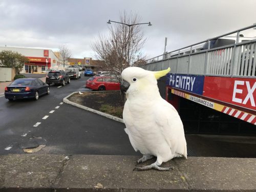 f46a7768-e188-4470-8041-11c57178b3ac