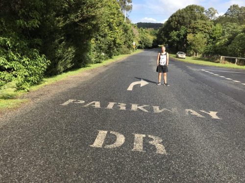 f65a250c-6d0a-4eab-bff8-a21813dcaf1b