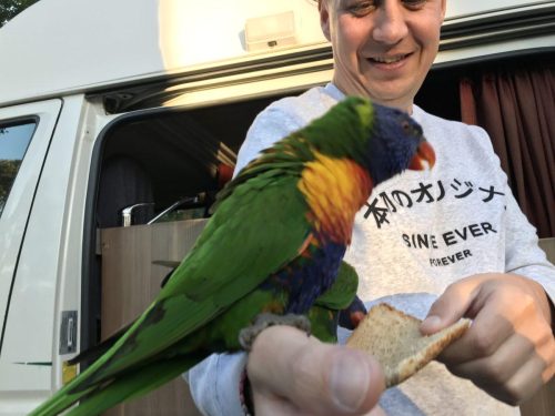 f8975a0d-7697-4365-abe2-8634b1348d08