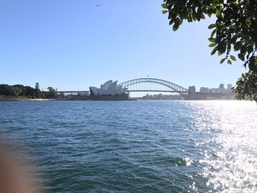 f8da0c39-af63-40e1-be92-8dc862943c02