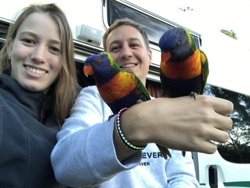 f9183bf2-4f1b-4ba4-b60f-49f2e9bf610a