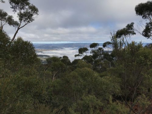 f91d5e5f-667b-4850-8881-f8f44006fc6d