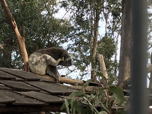 f92fbcd5-e633-4c13-8e4c-5df12e68bb55