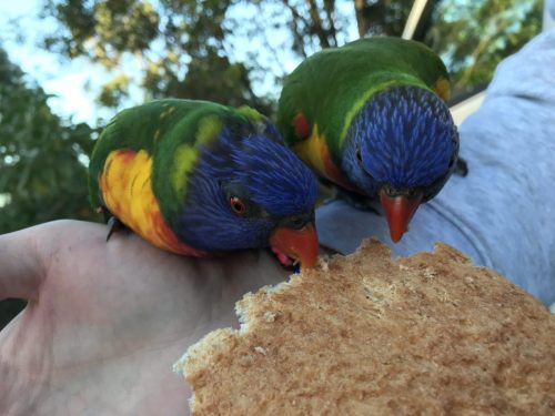 fe7e8007-e419-4101-b987-90b839d866f7