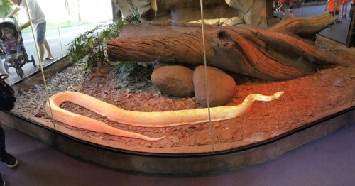 065e010d-2c35-4e35-ada9-81d4b61acb60