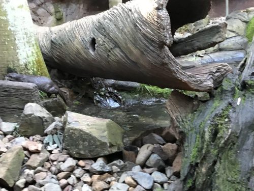 0d0ffe20-6b90-4f2d-b500-920c24563961