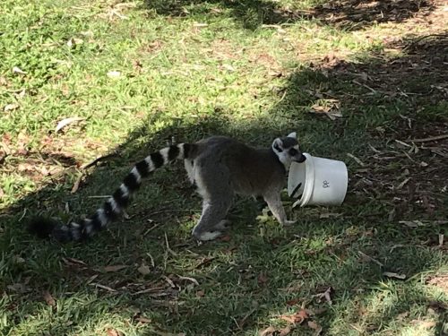 11a11cbc-4093-41e5-bc4f-ec42c4e4885d