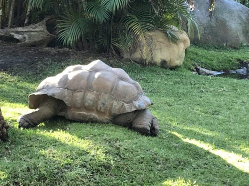 1533075f-d4b0-4c6e-841b-44afdbe9a0a0