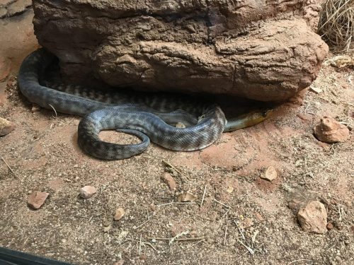 1d4b3c27-2e51-4298-b493-e4a76913b263