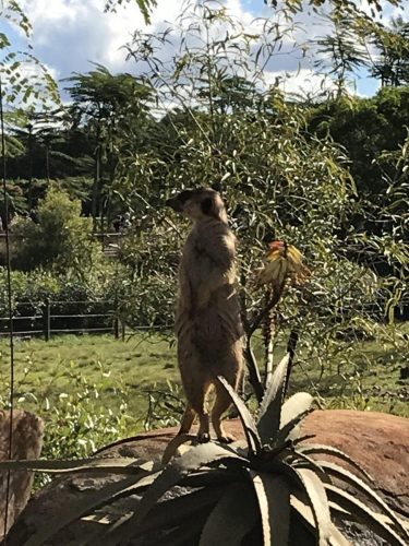 1d7a4fb1-fb99-4a0c-9118-810bb16b9726