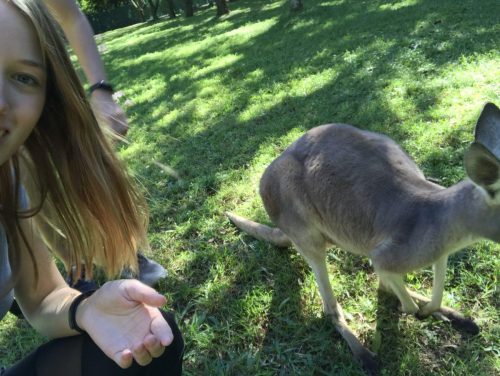 216f4f20-4623-4056-b7da-e96c04ae4831